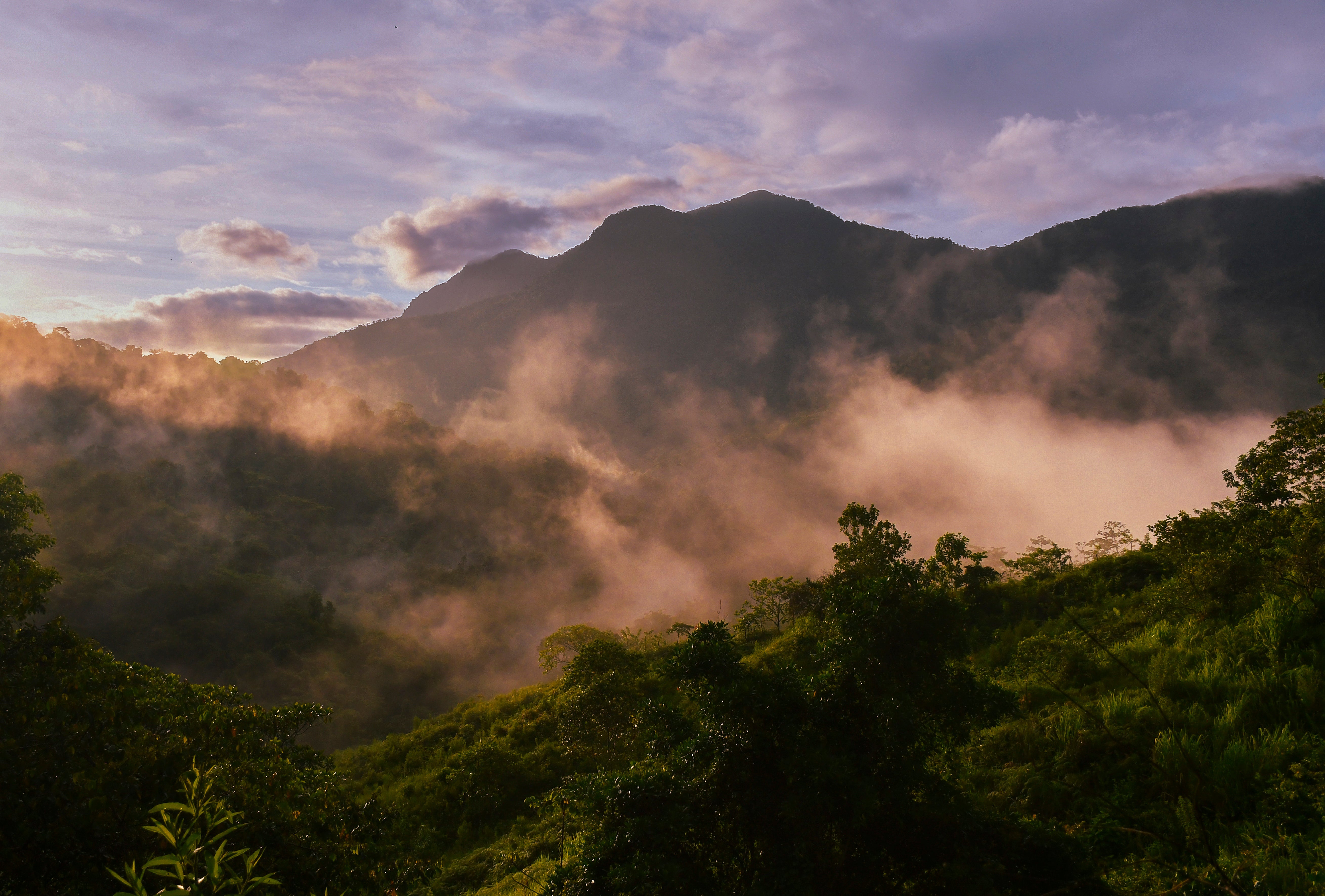 Colombia