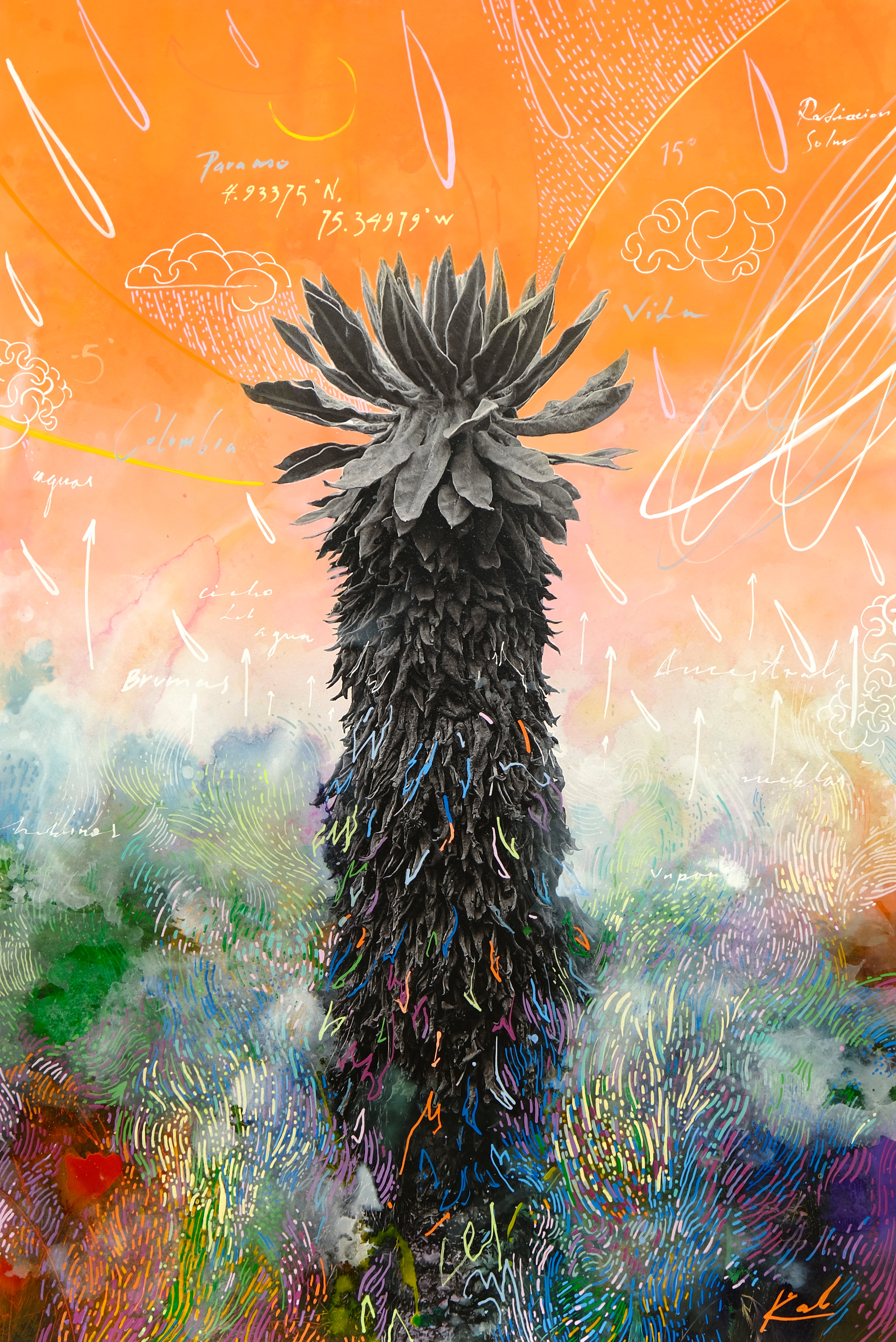 Freaklejones — Edición Colaborativa