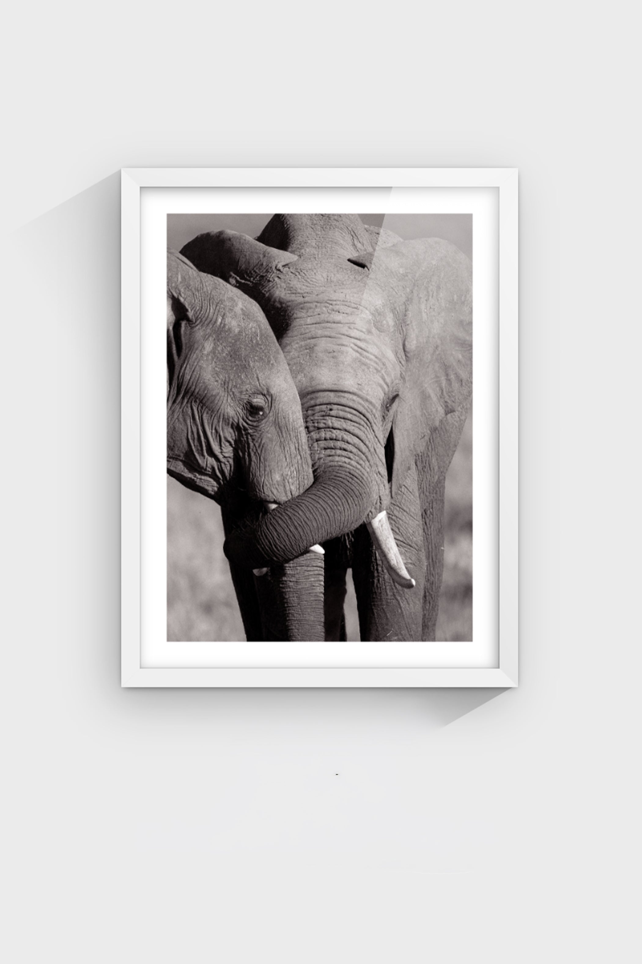 Wild Love-thumbmail-5