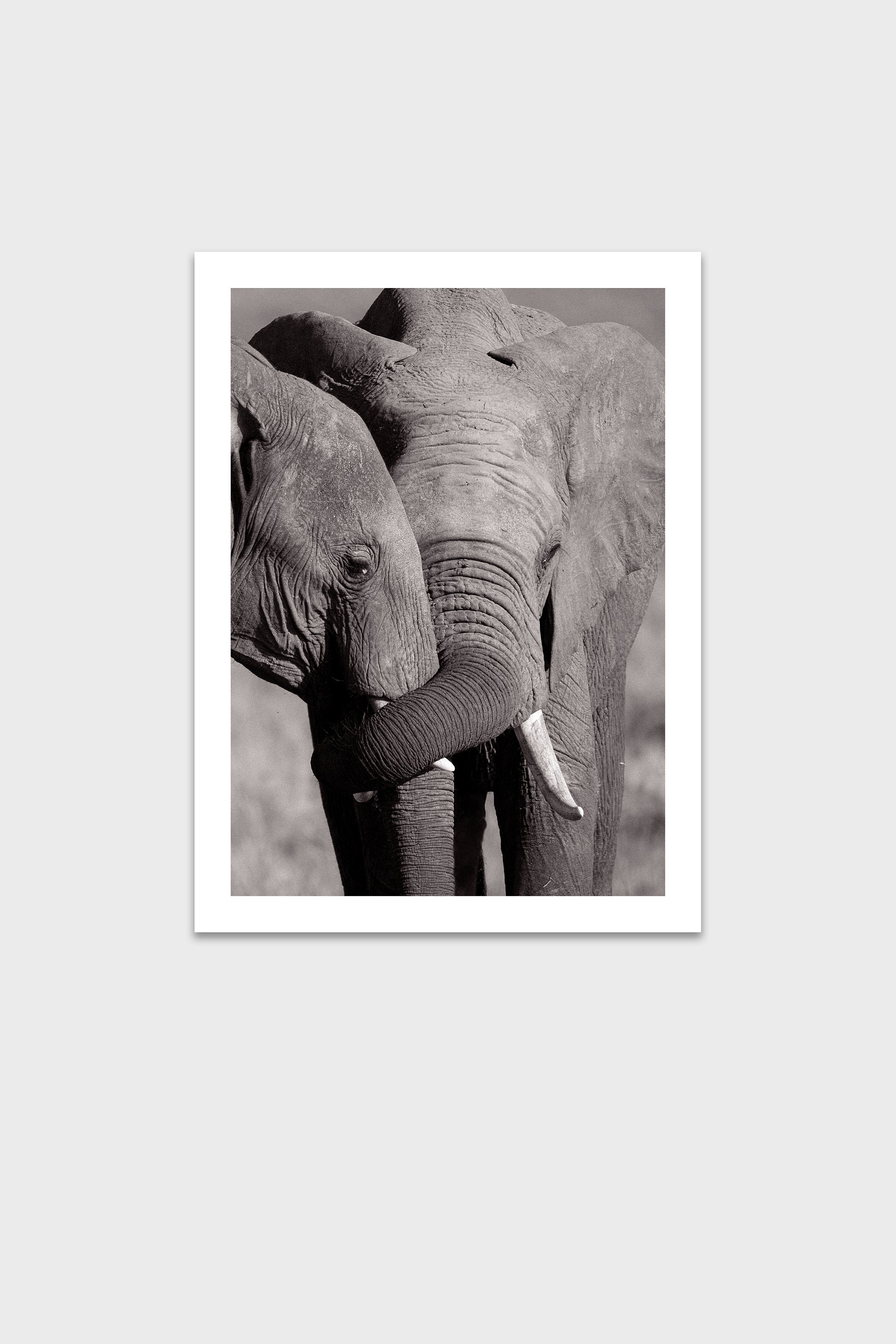 Wild Love-thumbmail-6