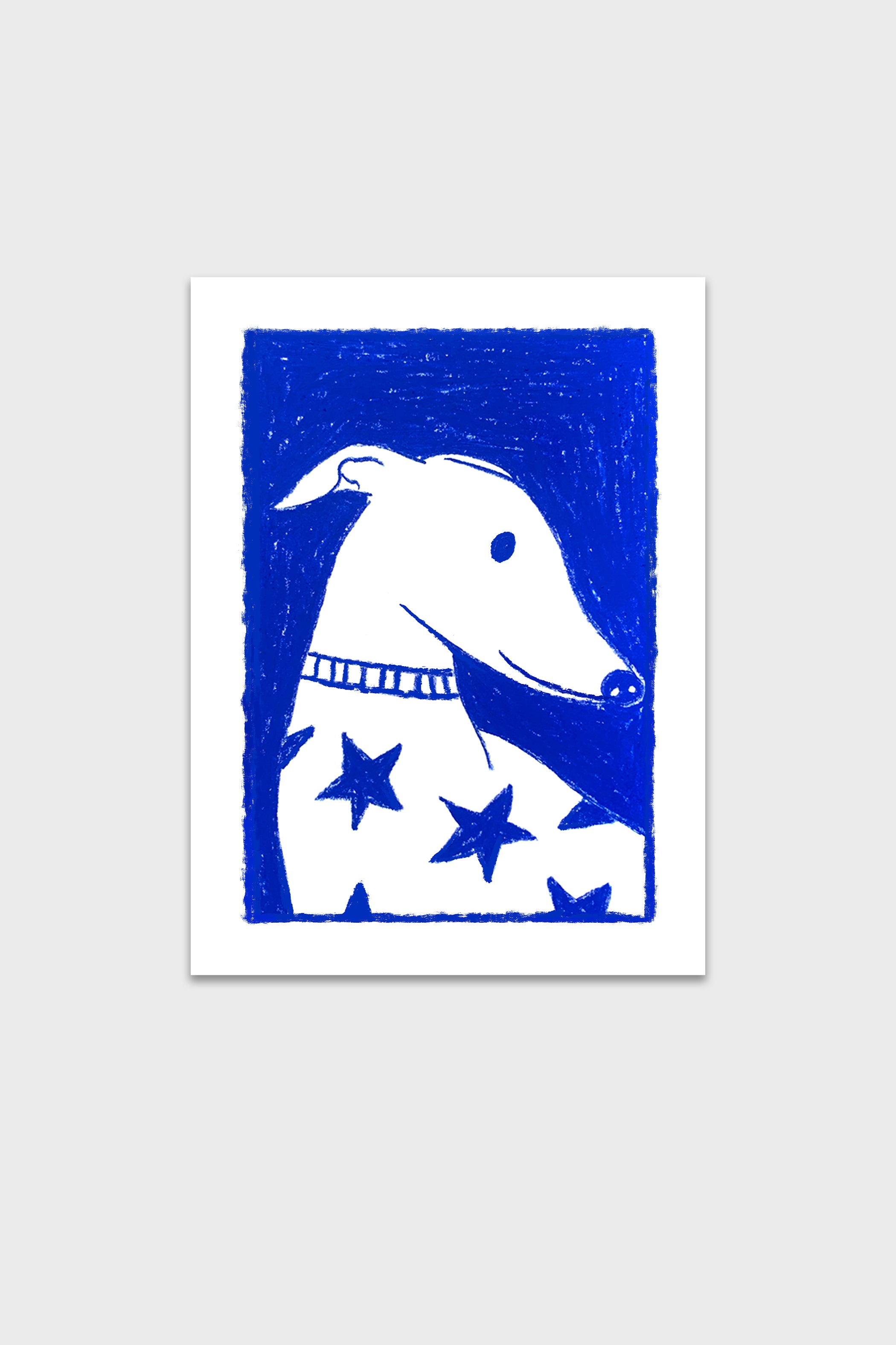 Galgo Estrella-thumbmail-6