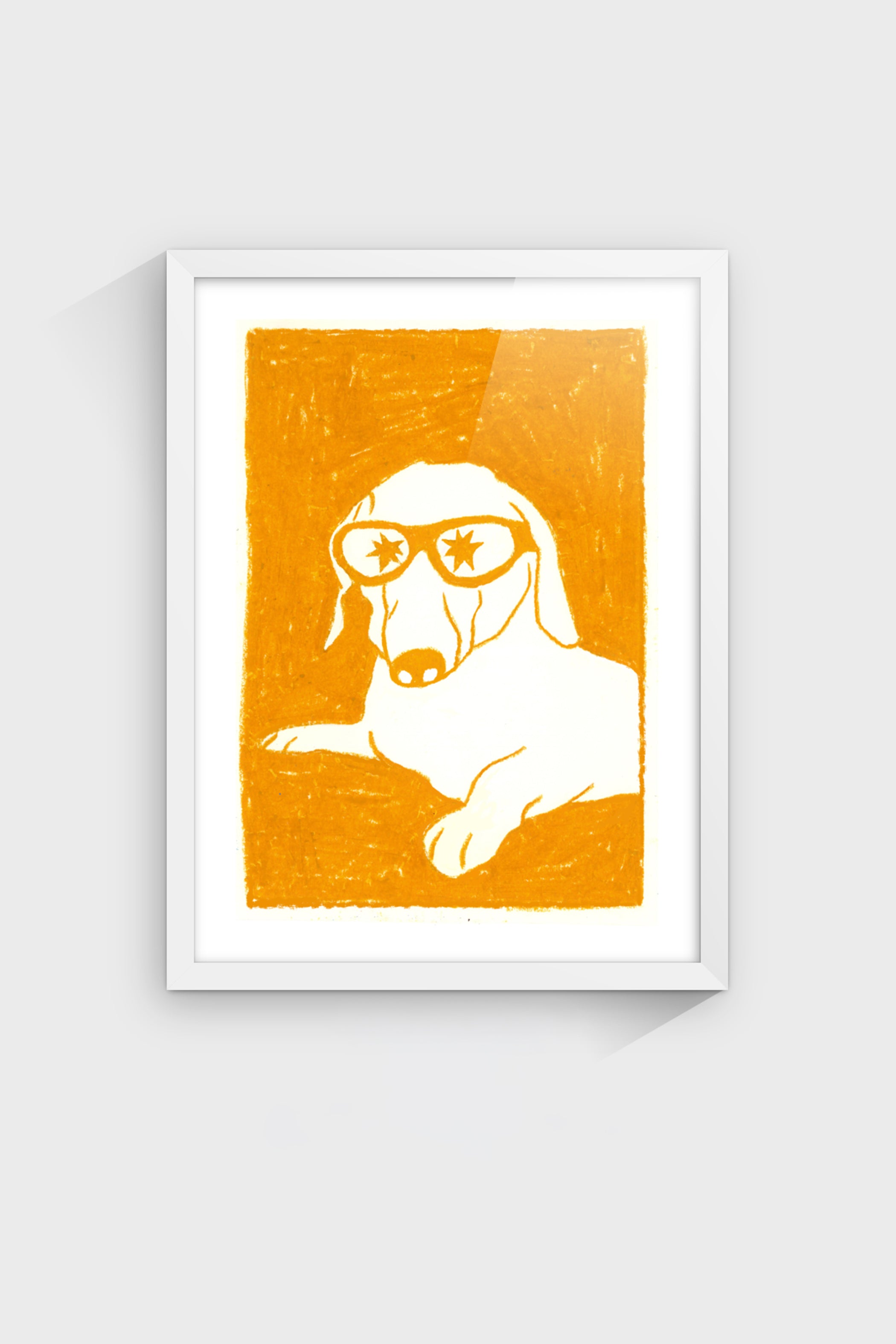 Perrito Flashero-thumbmail-5
