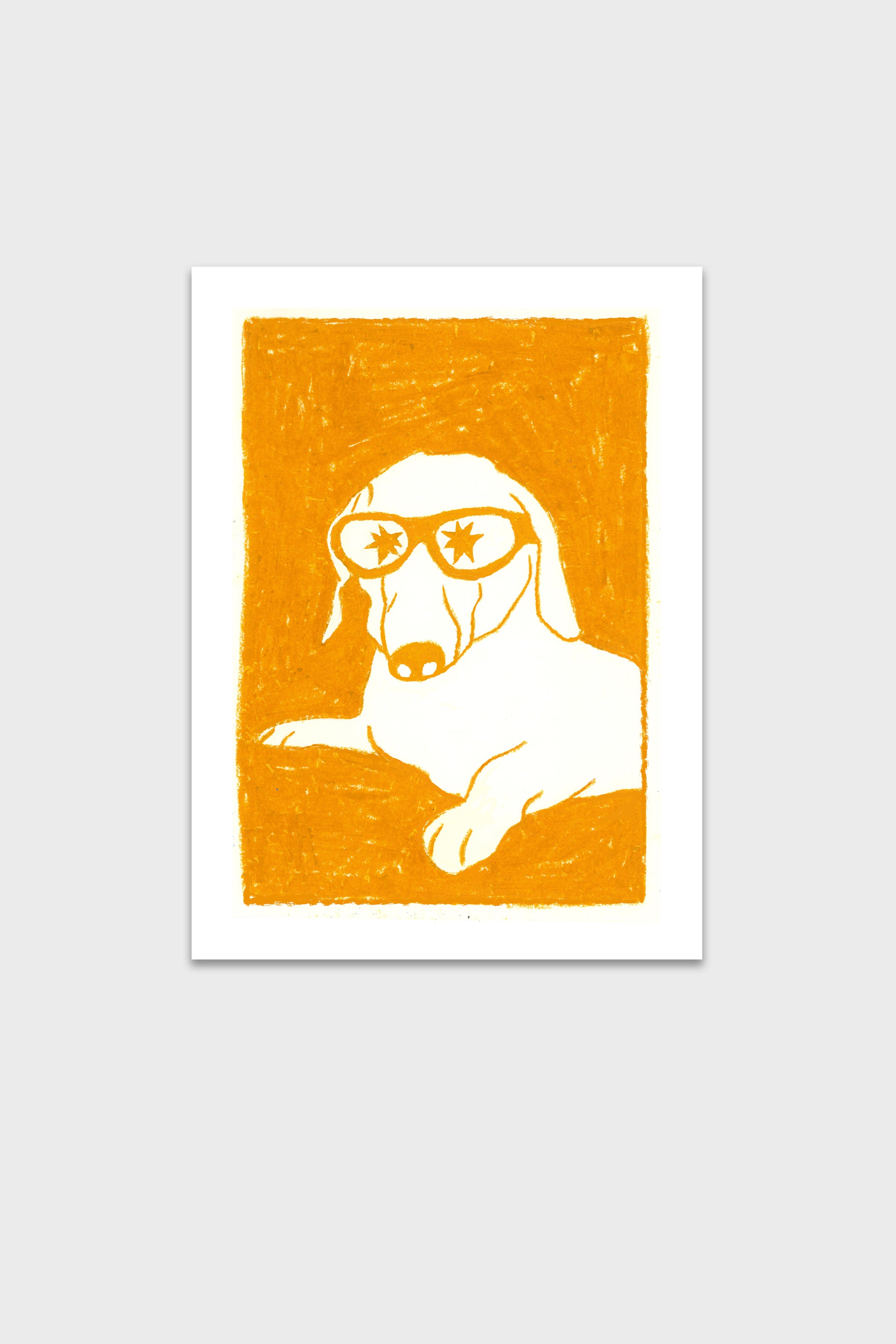 Perrito Flashero-thumbmail-6