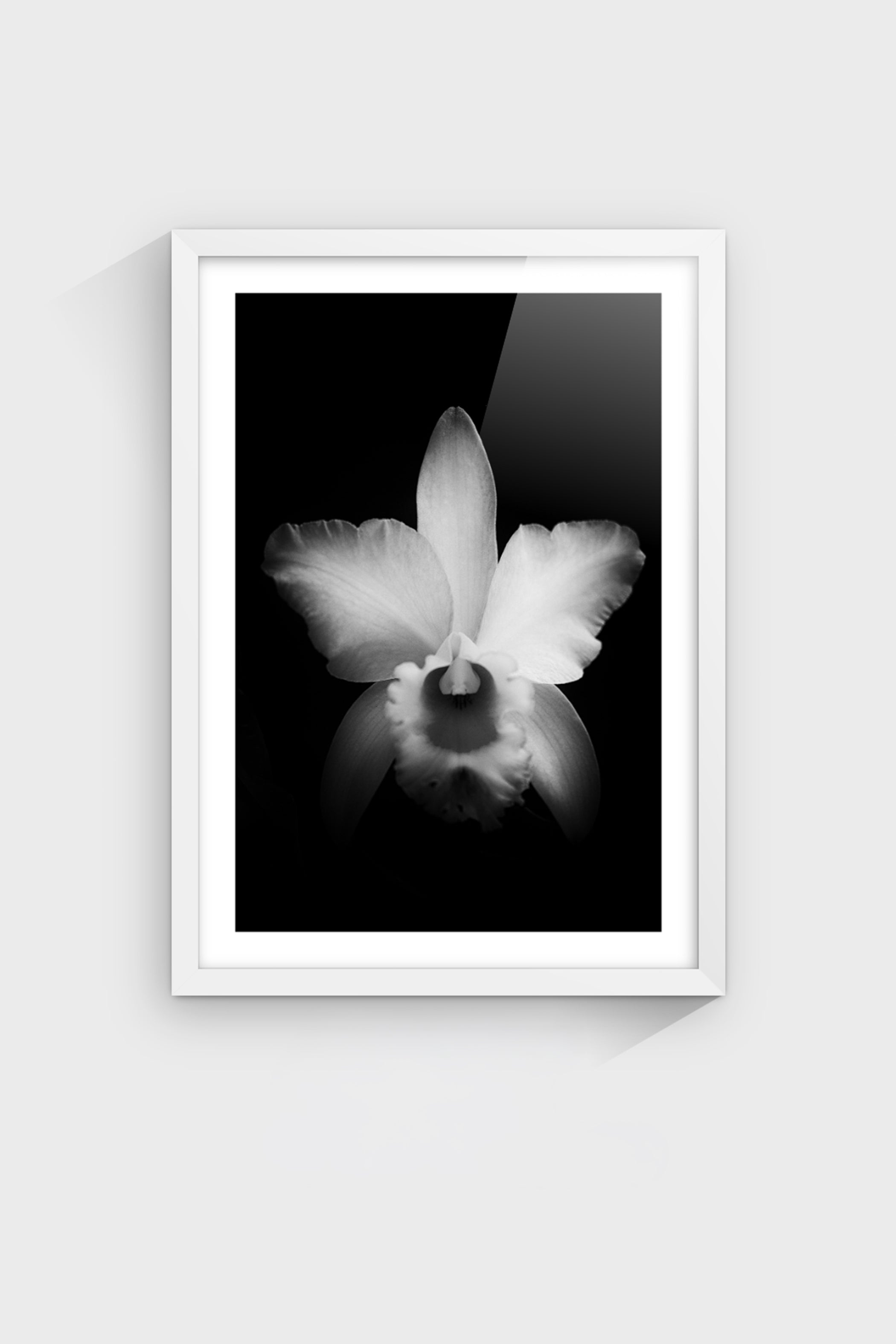 Luminance-thumbmail-5