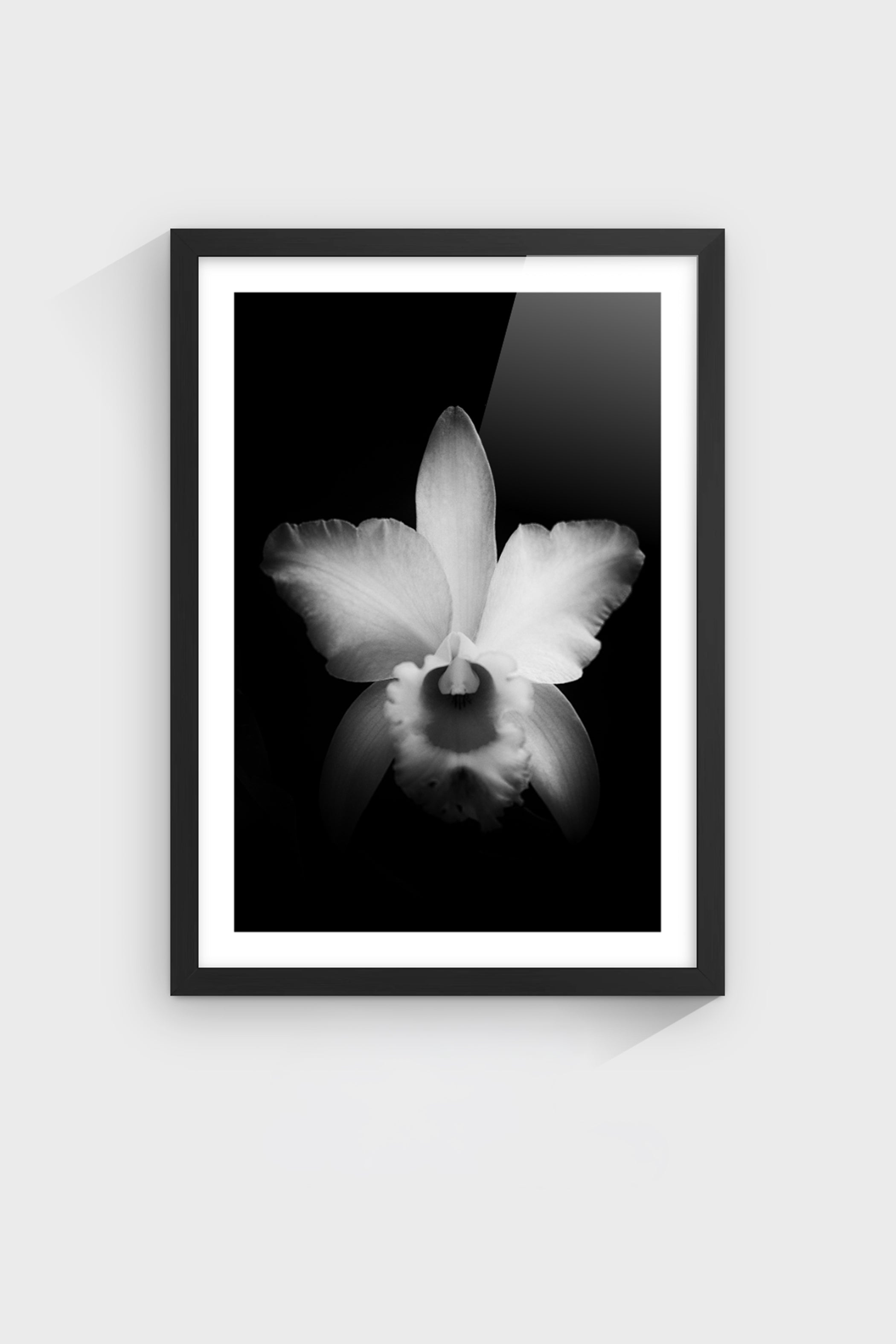 Luminance-thumbmail-4