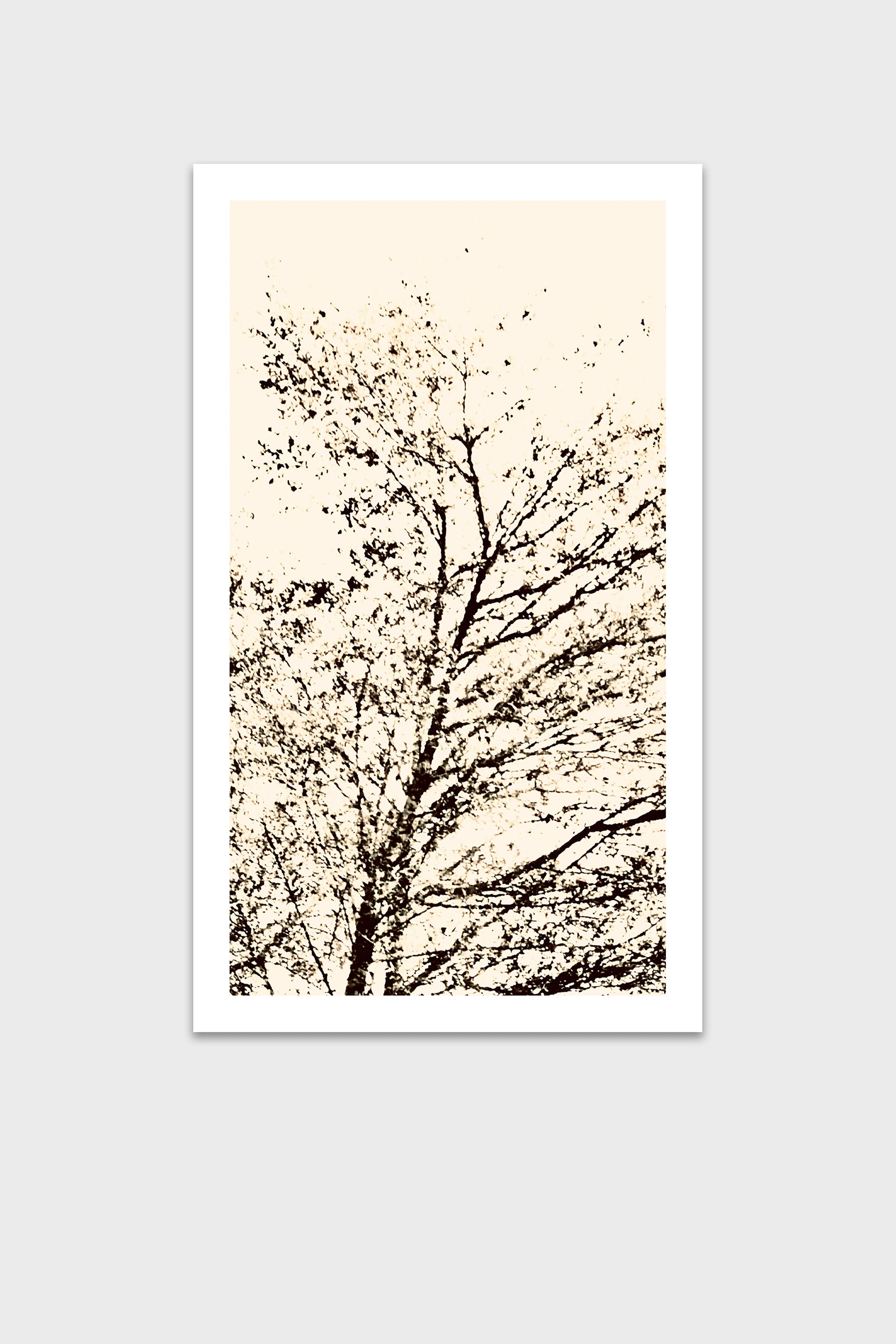 Árboles I-thumbmail-6