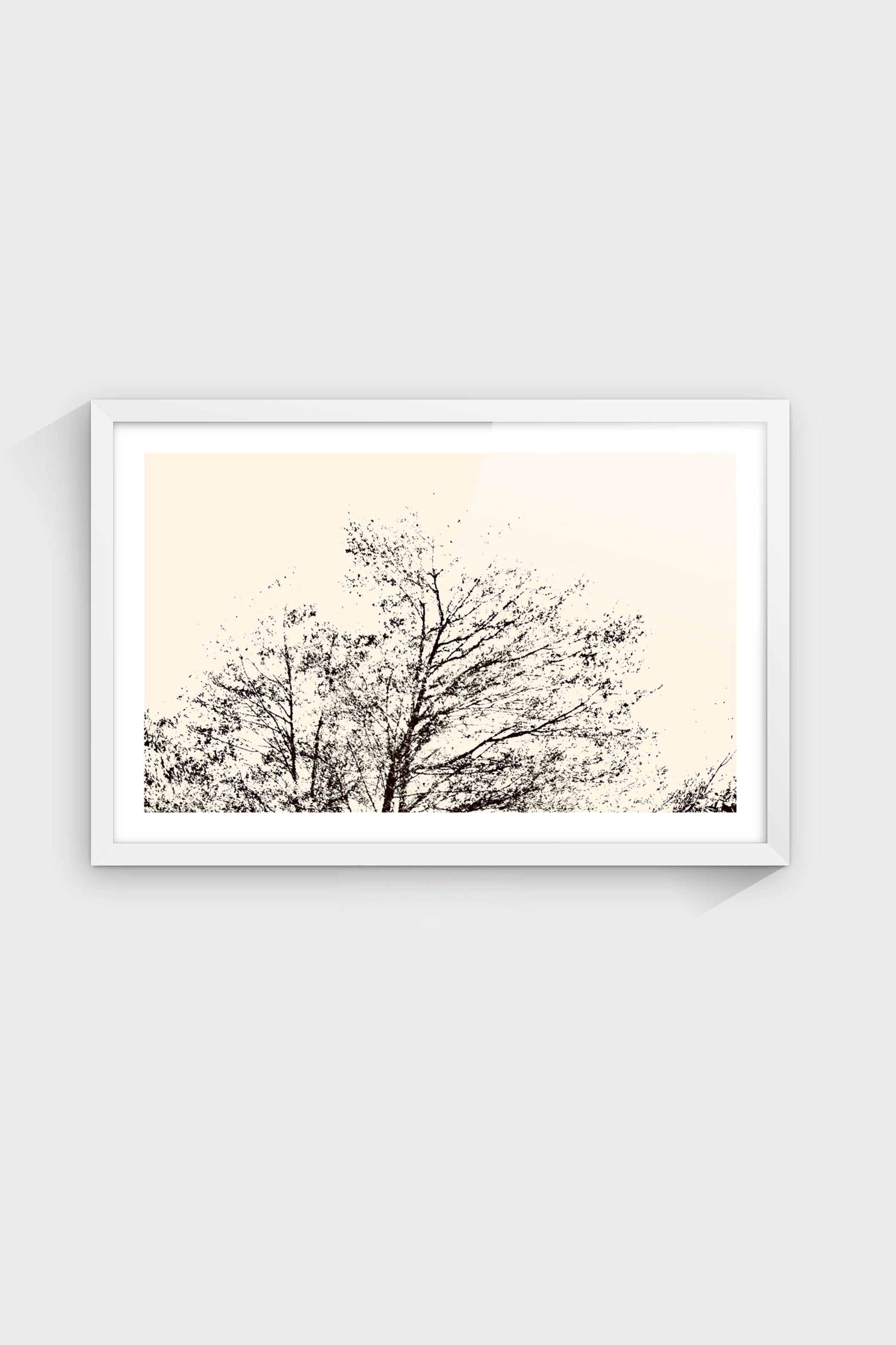 Árbol al Atardecer-thumbmail-5