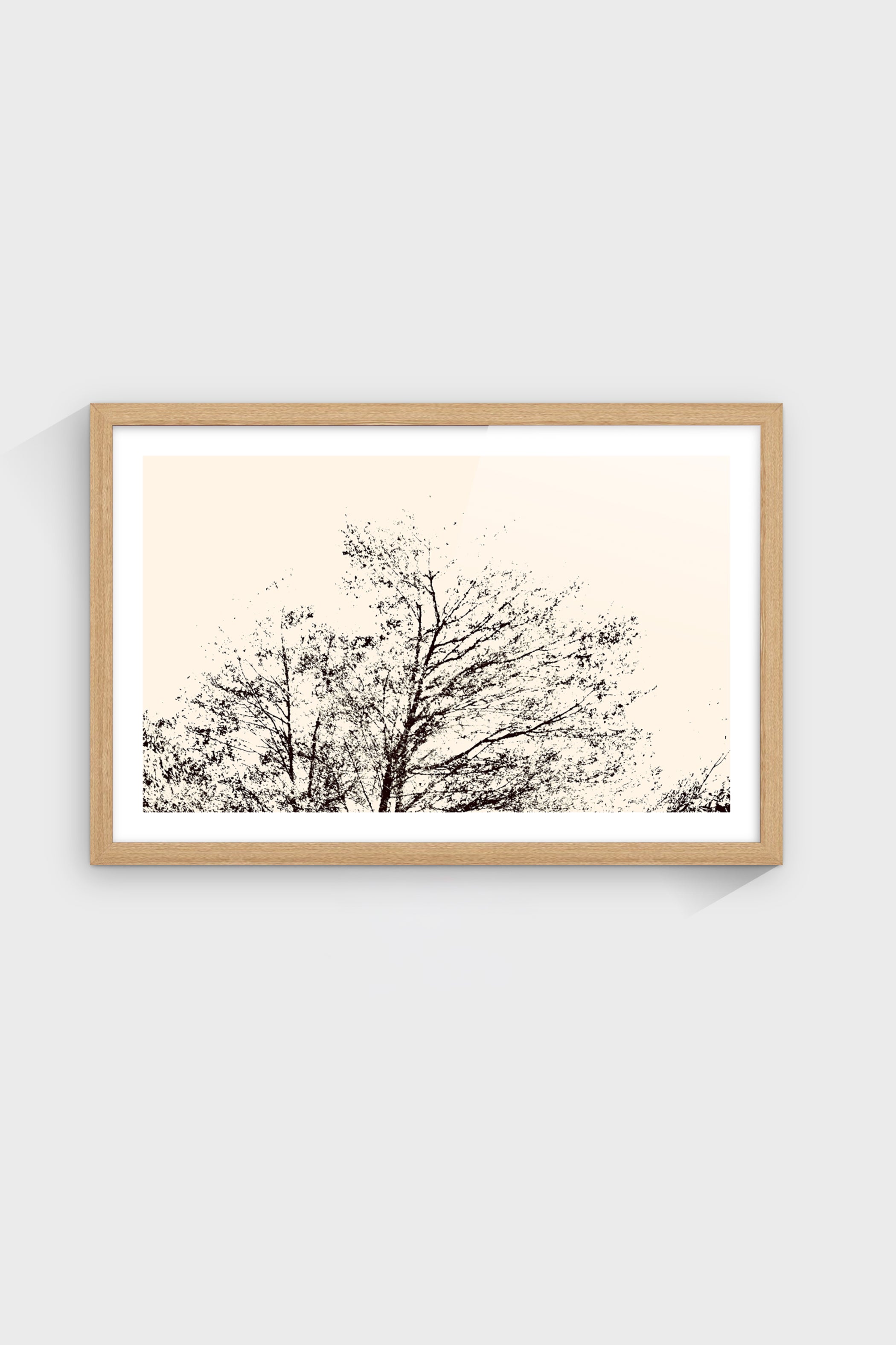 Árbol al Atardecer