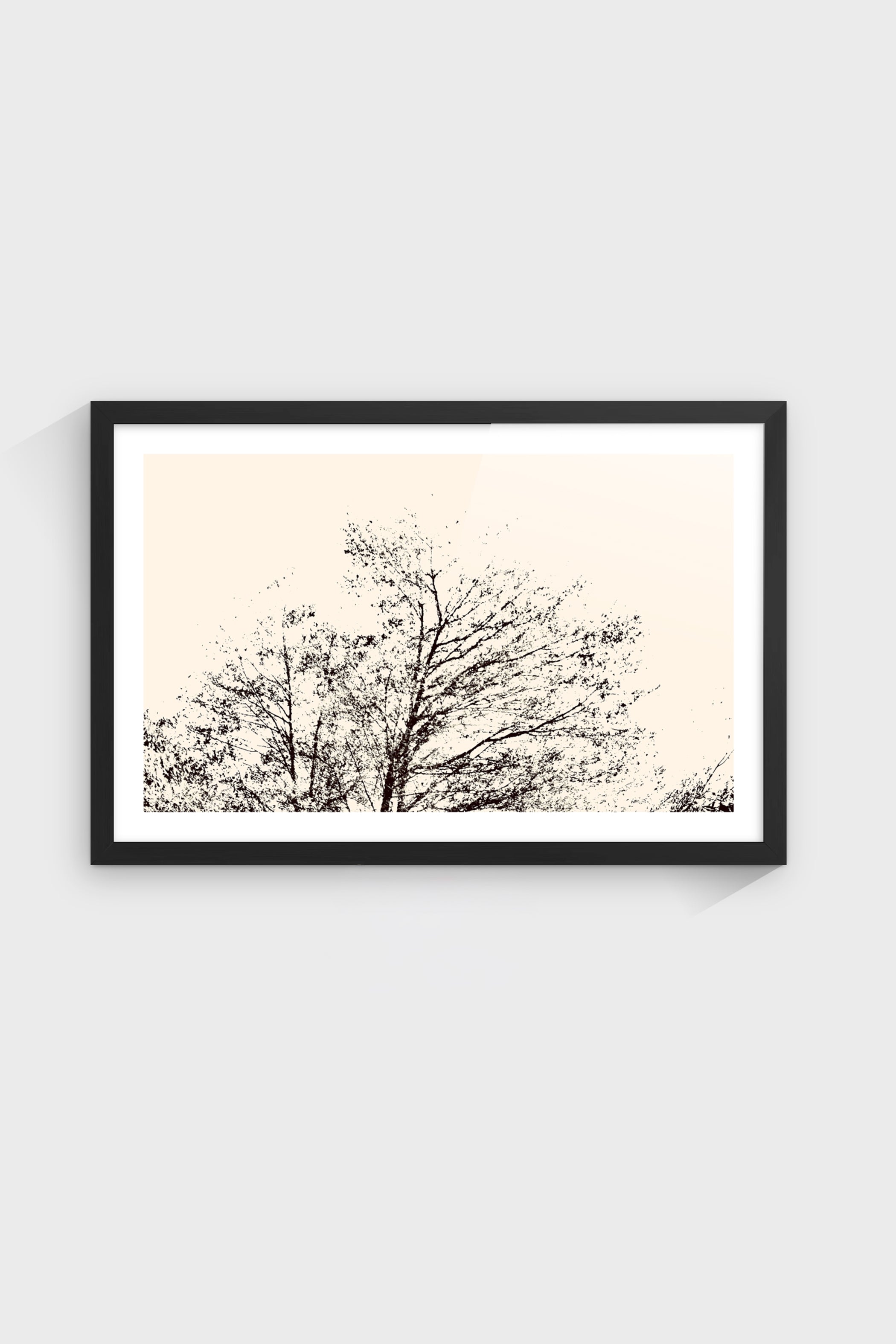 Árbol al Atardecer-thumbmail-4