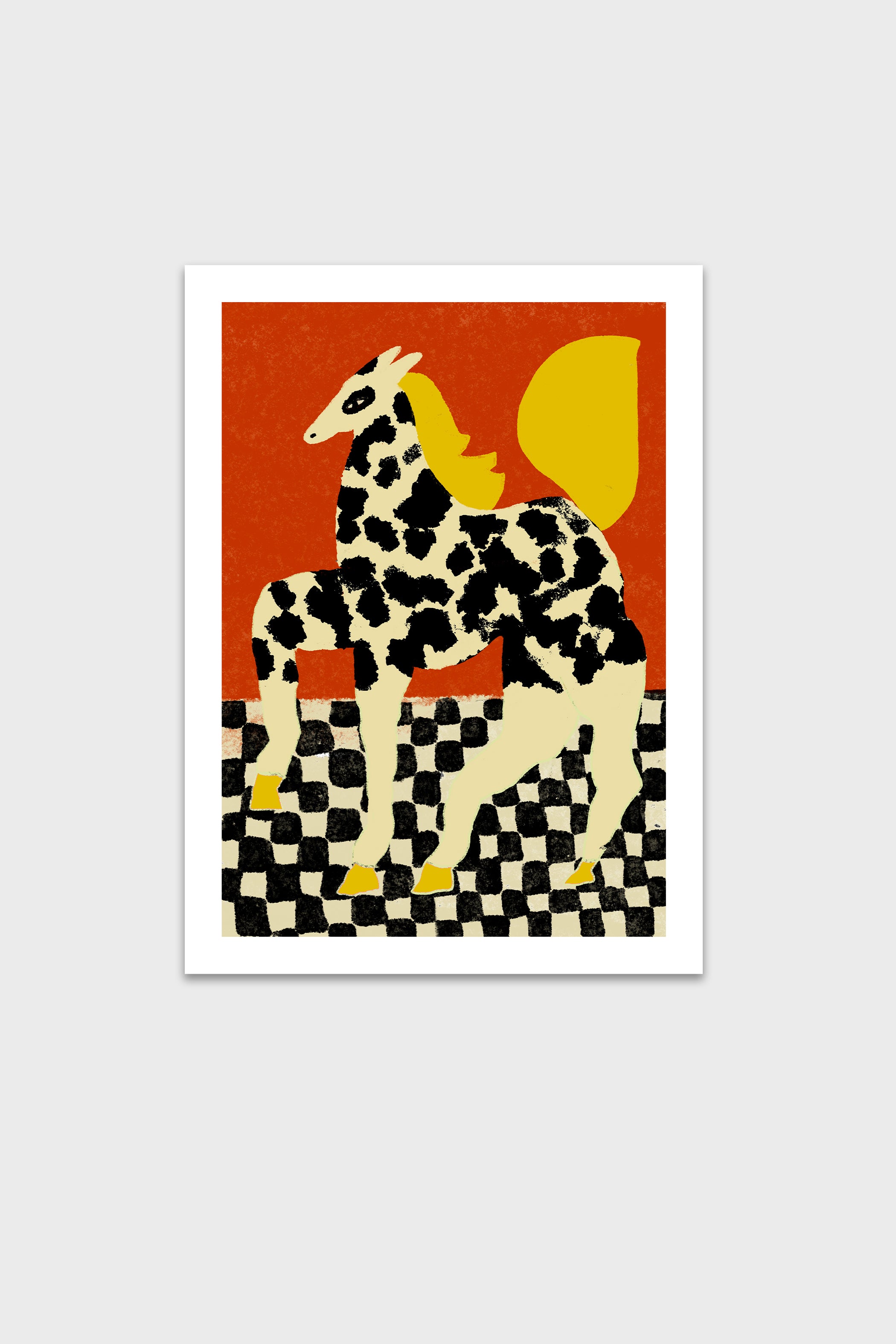 Damara-thumbmail-6