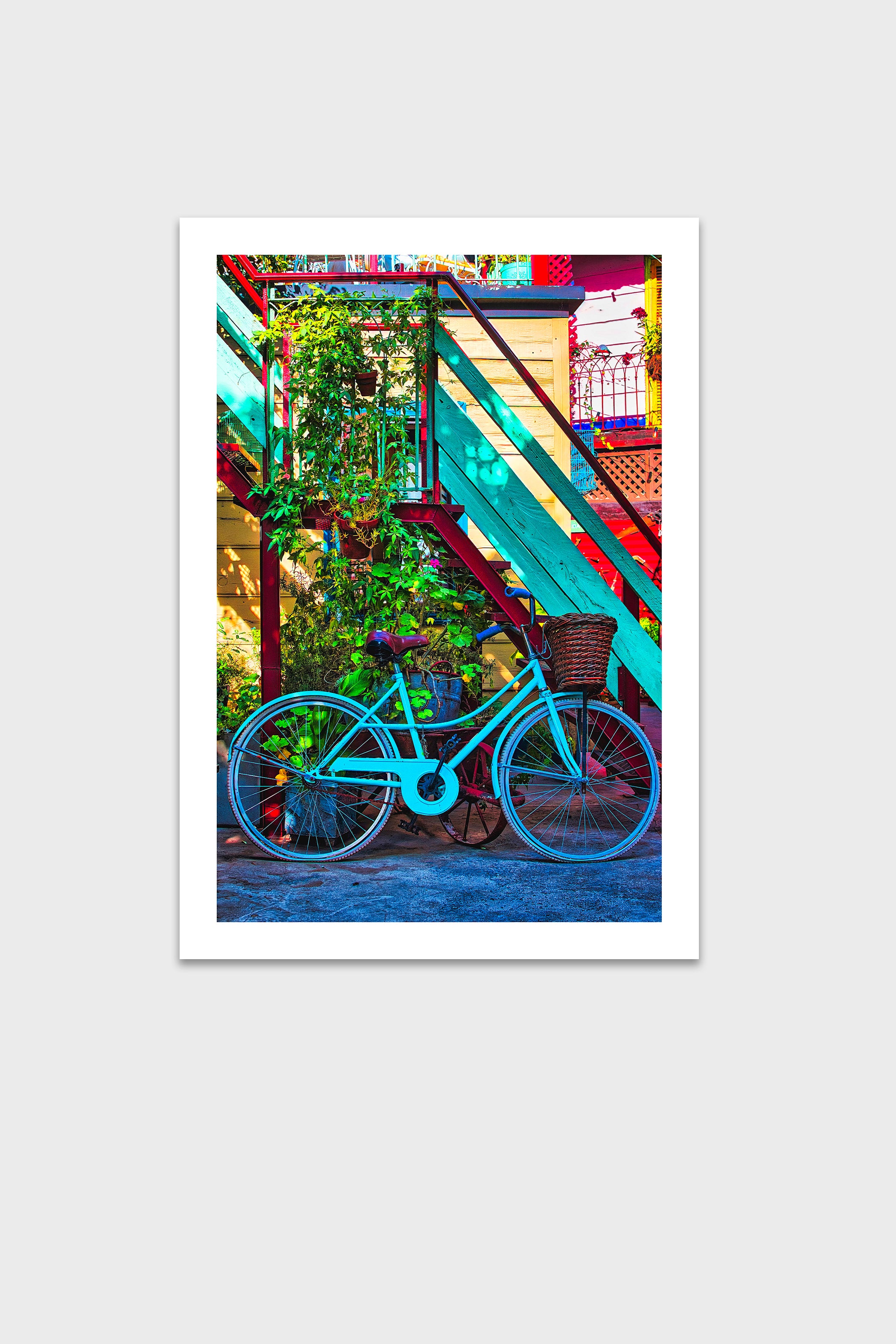 Colores de Caminito #1-thumbmail-6