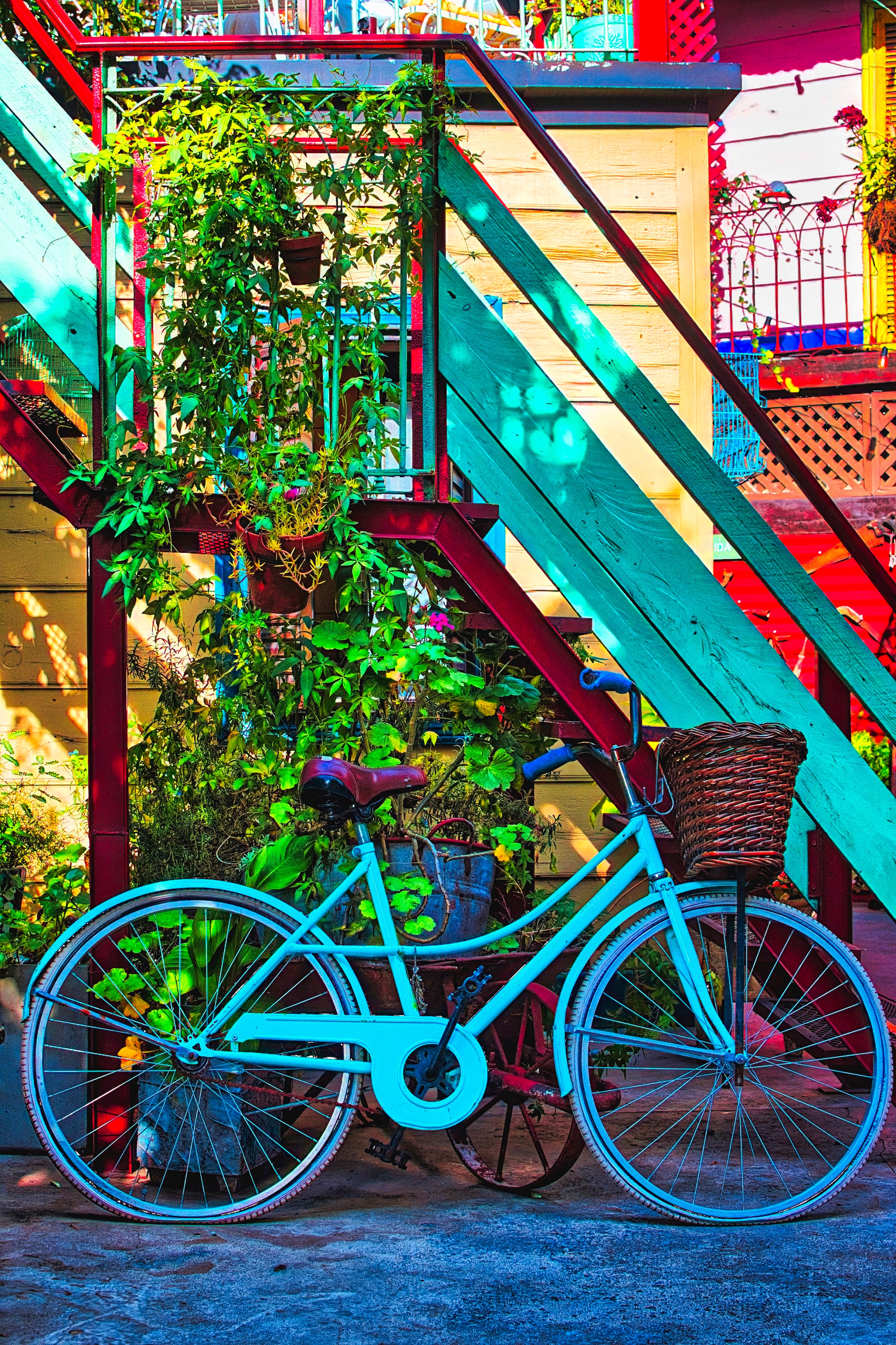 Colores de Caminito #1-thumbmail-3