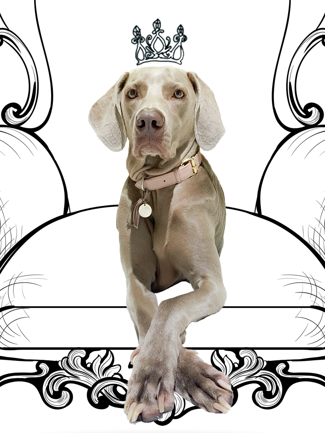 Marco con imagen